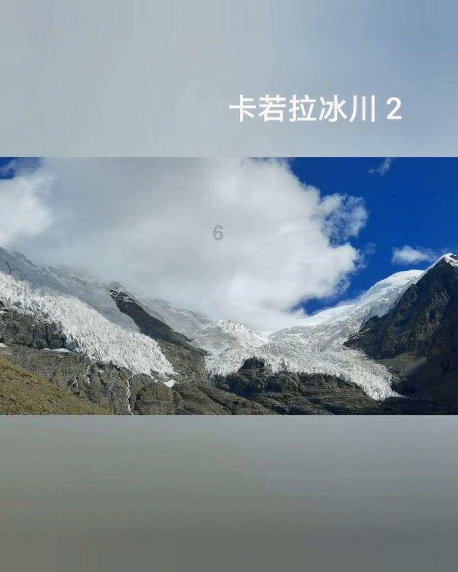 营救森林中的夫妇